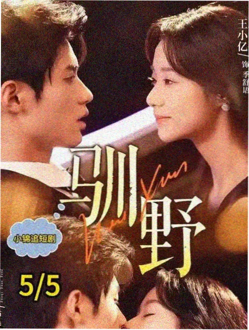 欧美犯罪剧第九街区的规矩封面